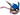 MONSTERBALL - Greninja PRE-ORDINE